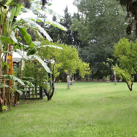 Villette Vacanze Bivona Cameră foto